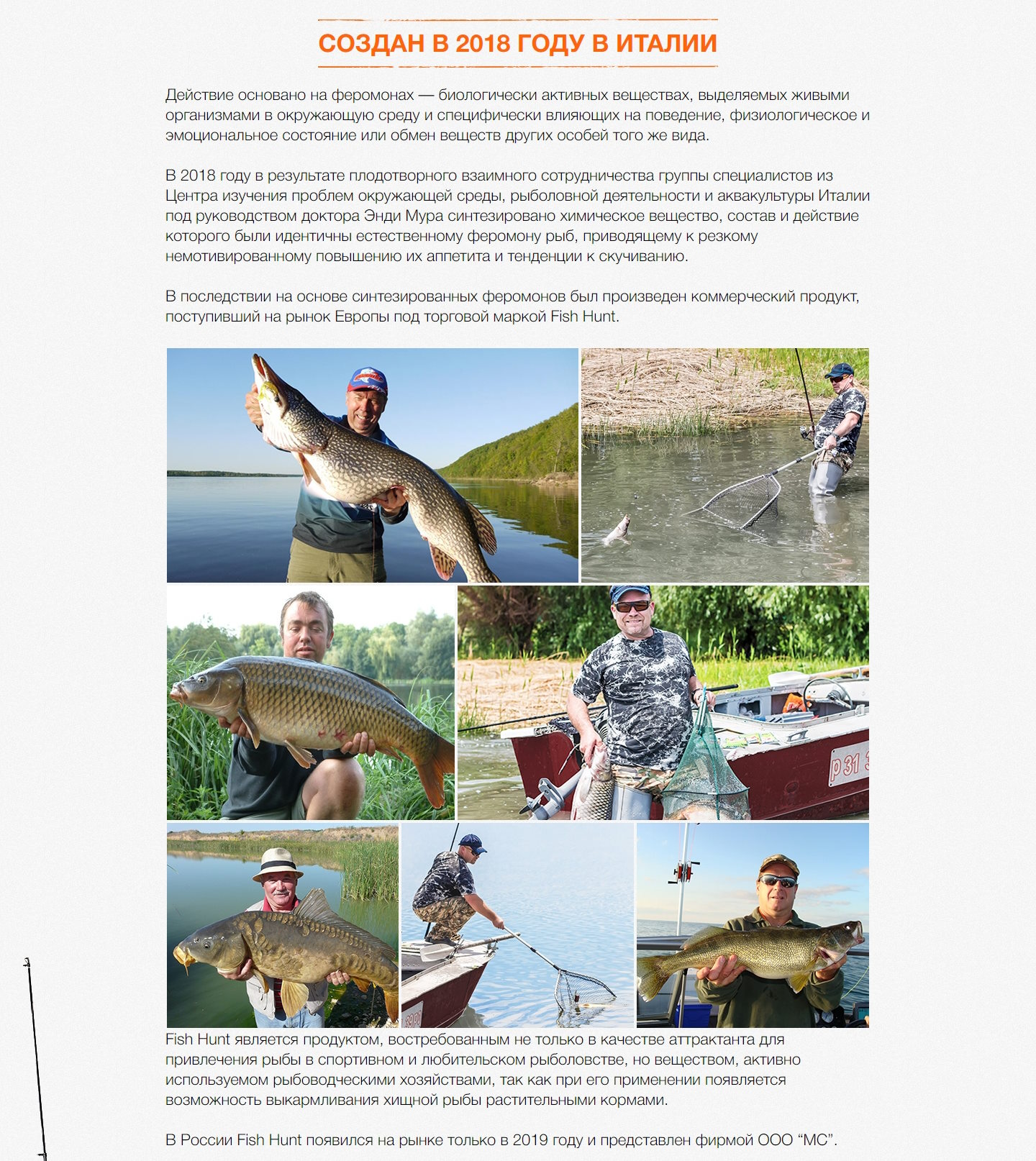 Стоимость Сайта Лендинга Активатор Клева Fish Hunt