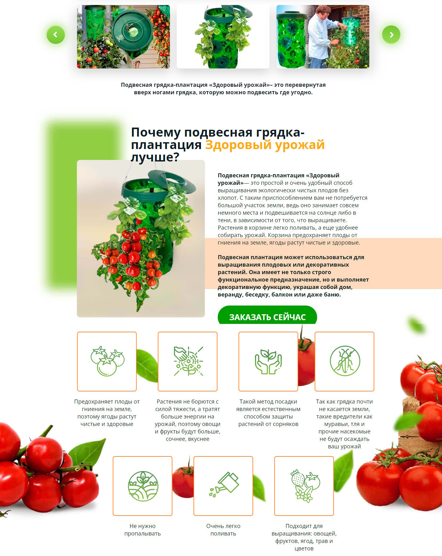 Стоимость Сайта Лендинга Подвесная Грядка Плантация Здоровый Урожай