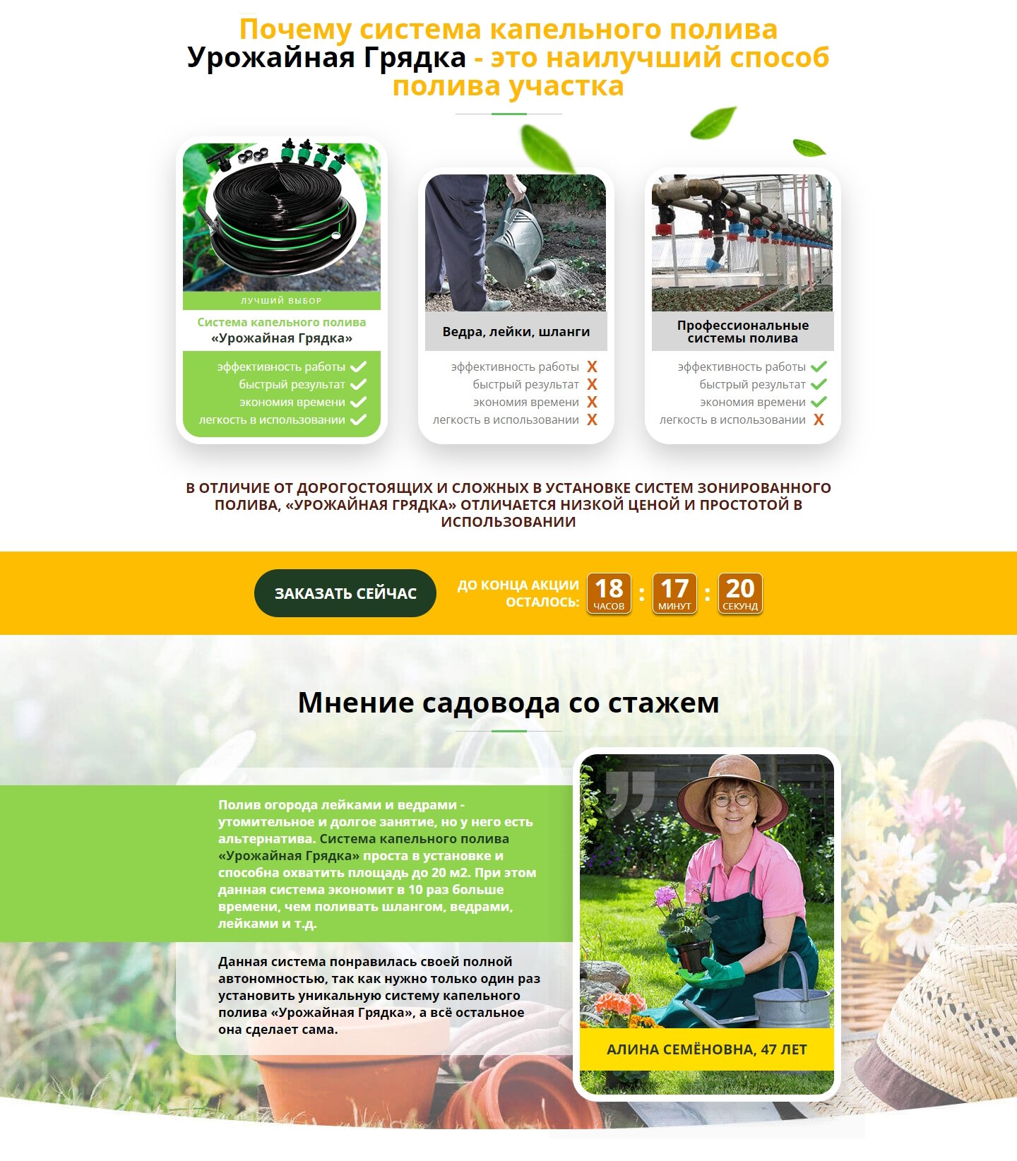 Стоимость Сайта Лендинга Система Капельного Полива Урожайная Грядка