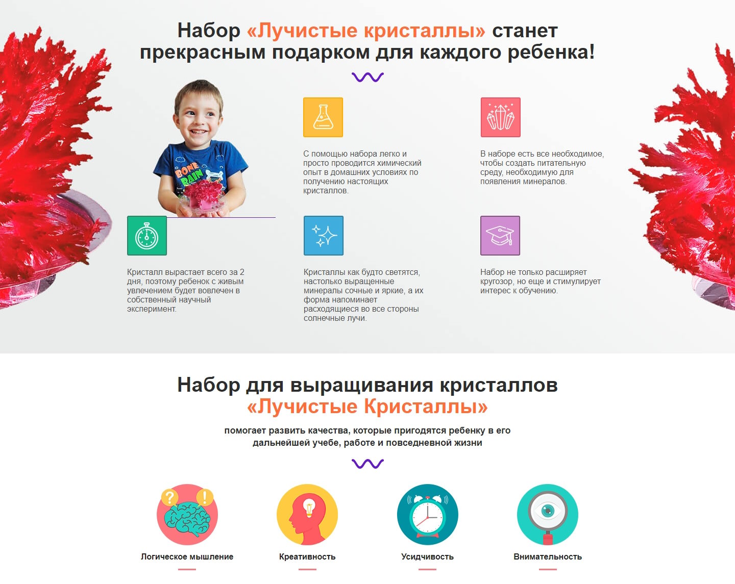Стоимость Сайта Лендинга Набор для Выращивания Кристаллов