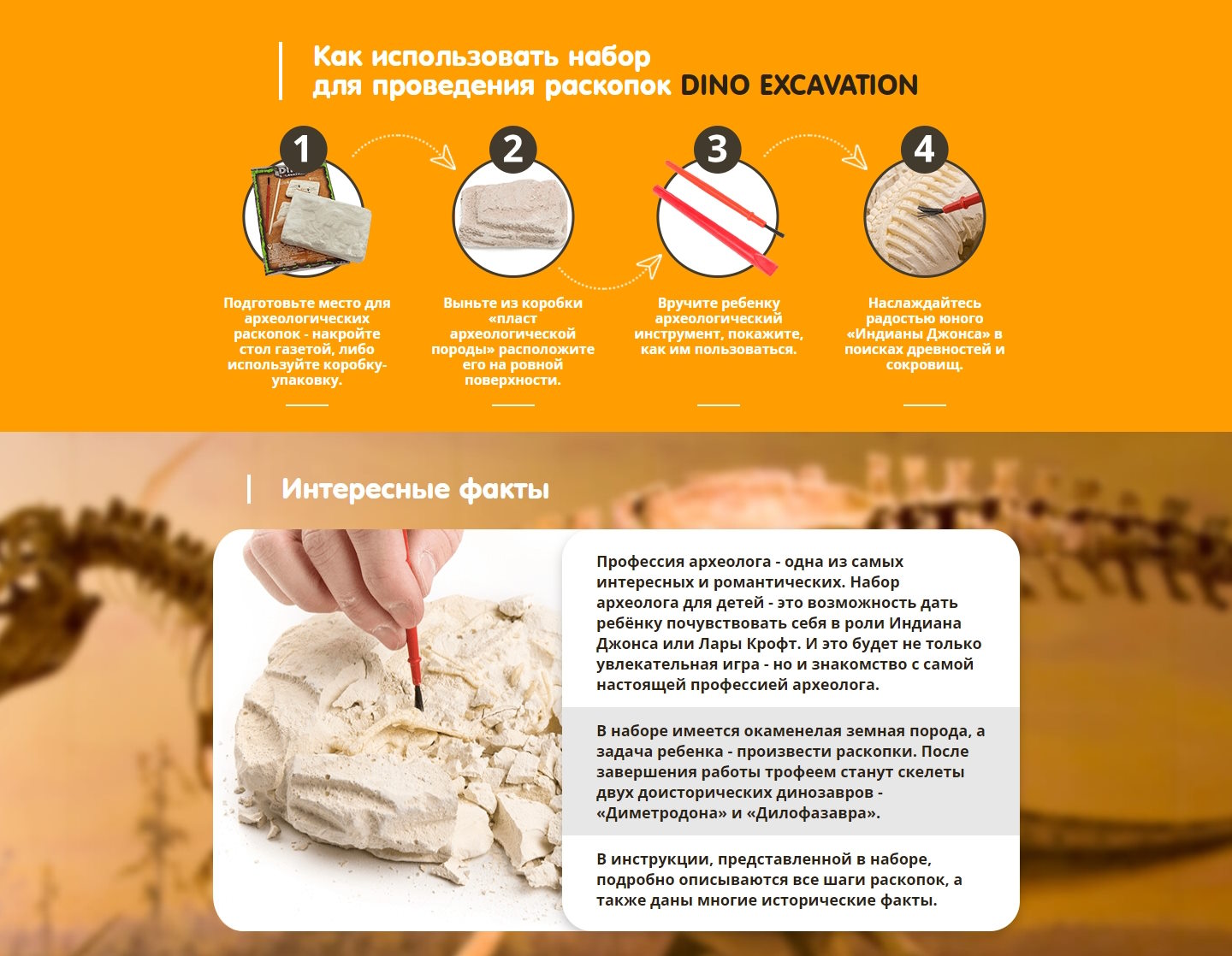 Купить Лендинг Пейдж Набор для Раскопок Юный Археолог