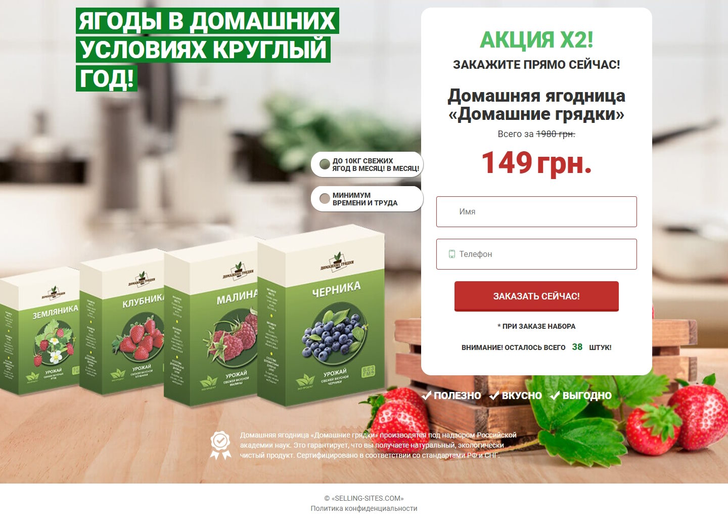 Купить Сайт Одностраничный Домашняя Ягодница «Домашние Грядки»