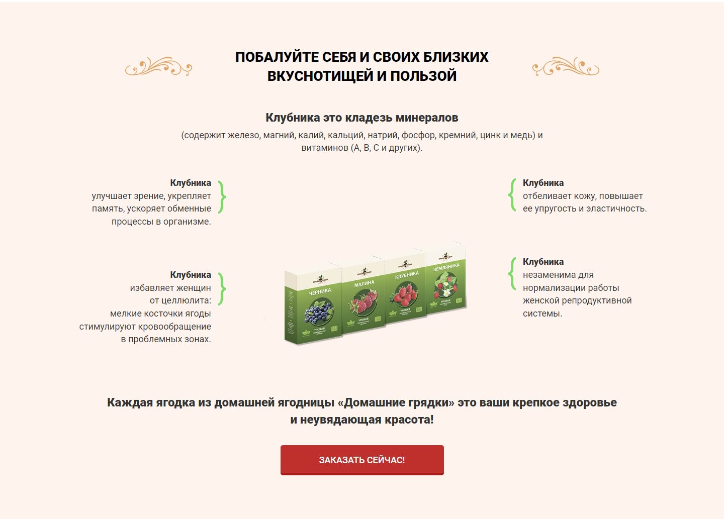 Купить Лендинг Пейдж Домашняя Ягодница «Домашние Грядки»
