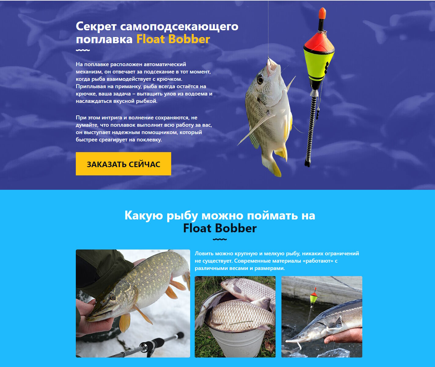Стоимость Сайта Лендинга Самоподсекающий Поплавок Float Boober