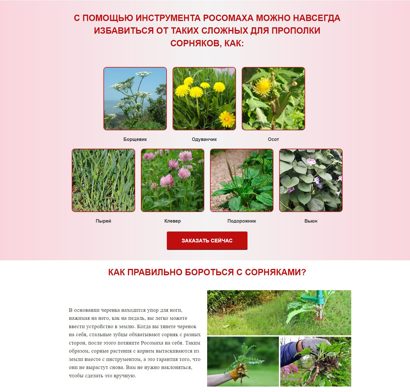 Купить Лендинг Пейдж Инструмент для Удаления Сорняков Росомаха
