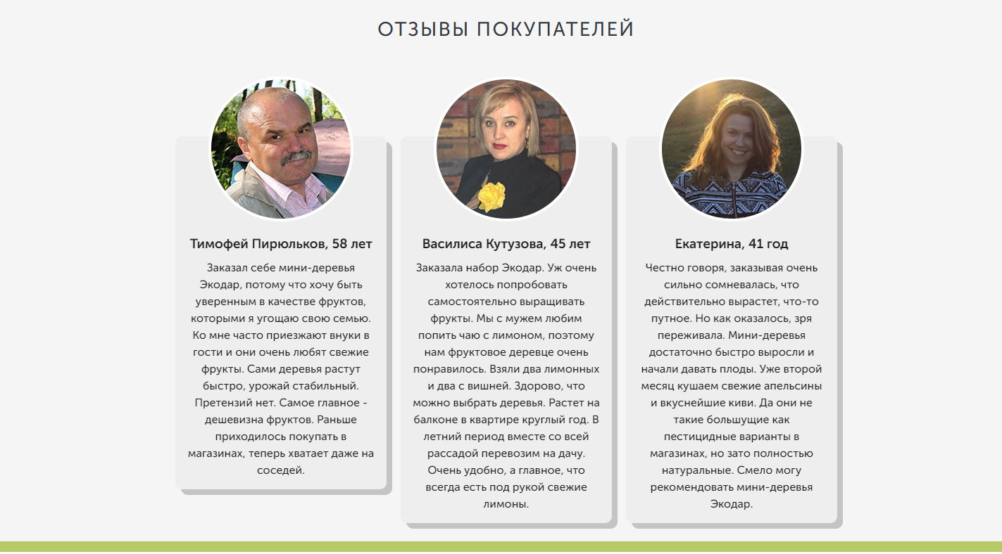 Купить Лендинг Пейдж Гибридные Мини-Деревья Экодар