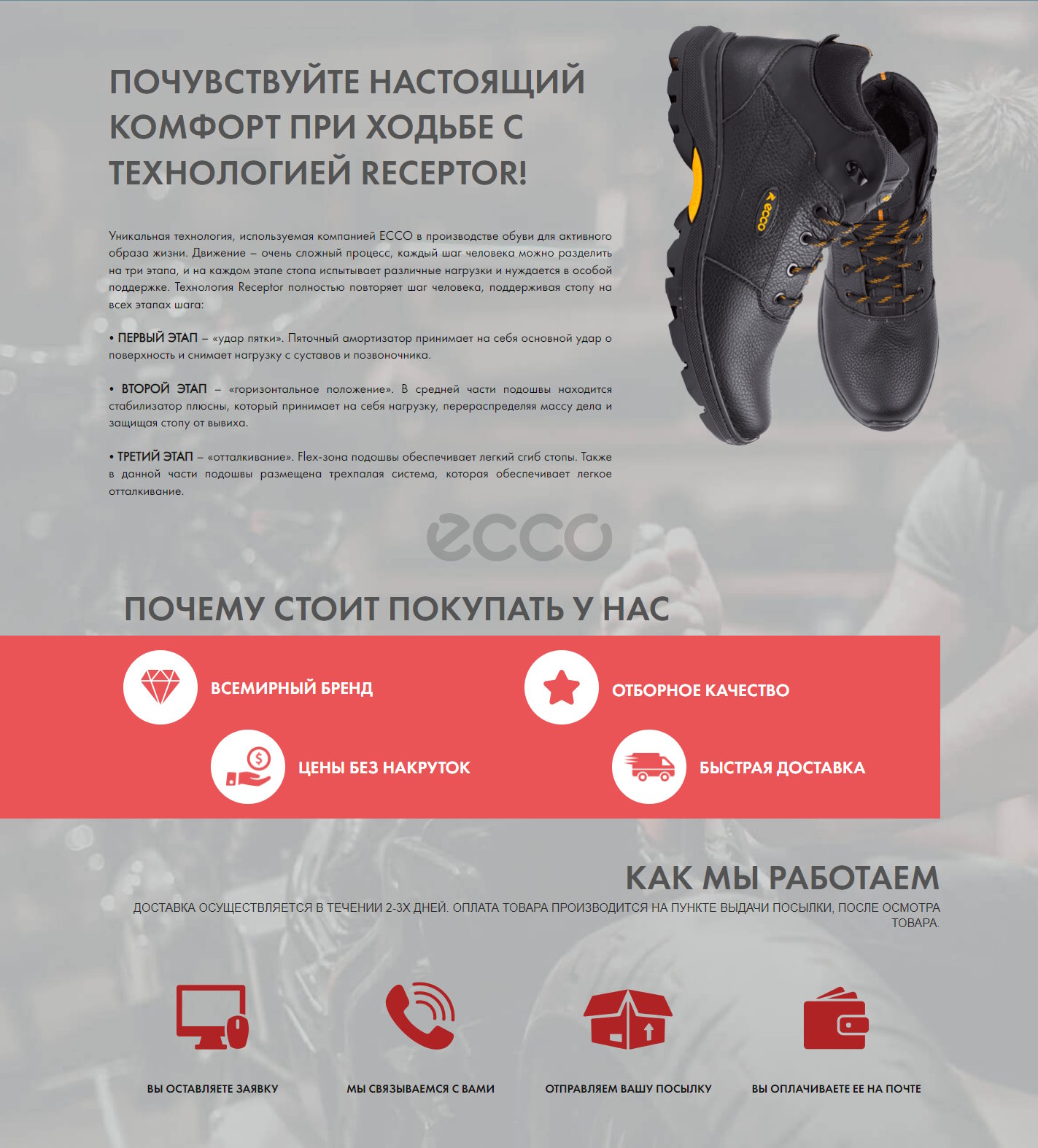 Продажа Лендинга Зимняя Обувь ECCO Urban Black