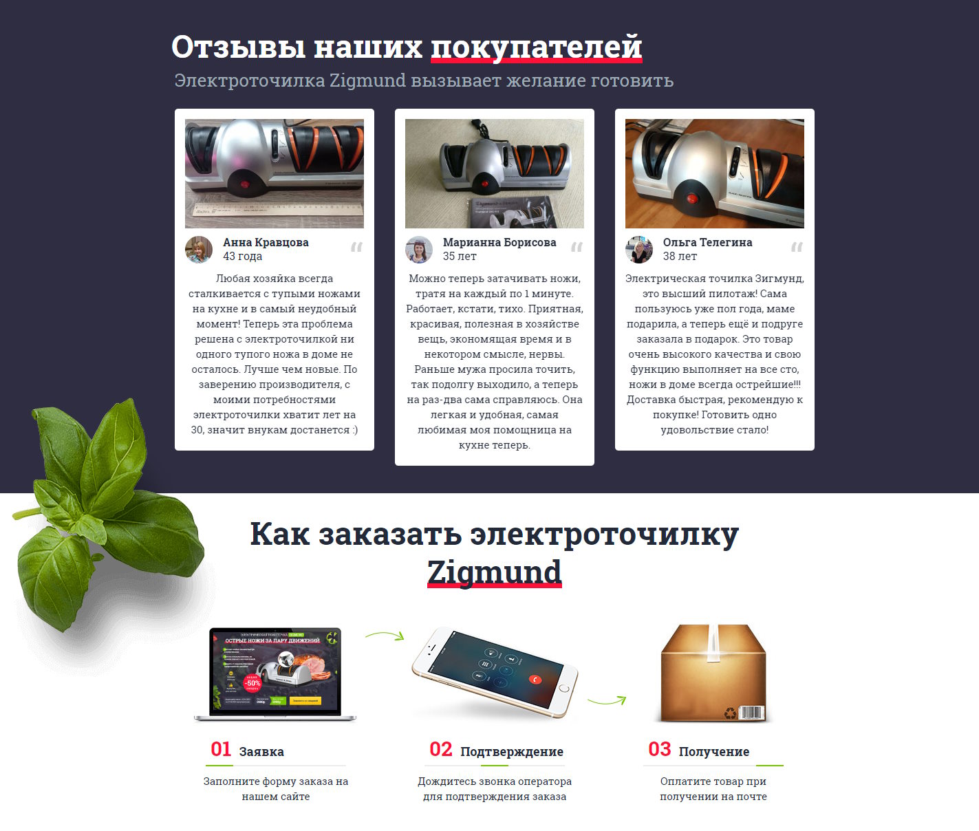 Продажа Лендинга Электрическая Ножеточка Zigmund